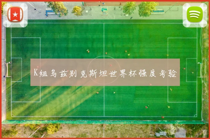 K组乌兹别克斯坦世界杯强度考验