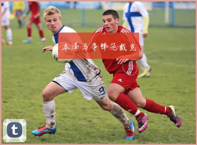 本泽马争锋范戴克