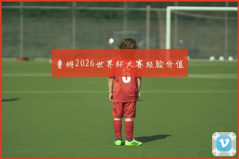 鲁姆2026世界杯大赛经验价值