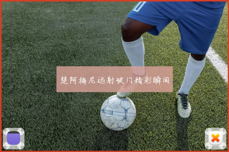 楚阿梅尼远射破门精彩瞬间