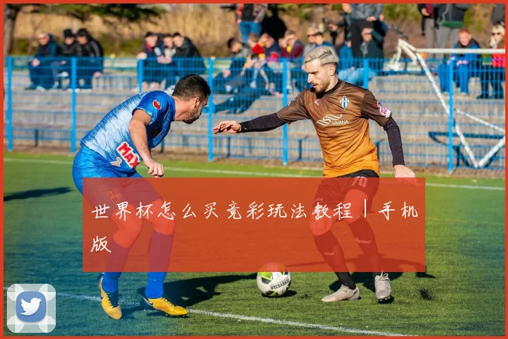 世界杯怎么买竞彩玩法教程｜手机版