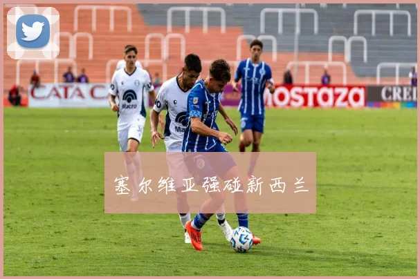 塞尔维亚强碰新西兰
