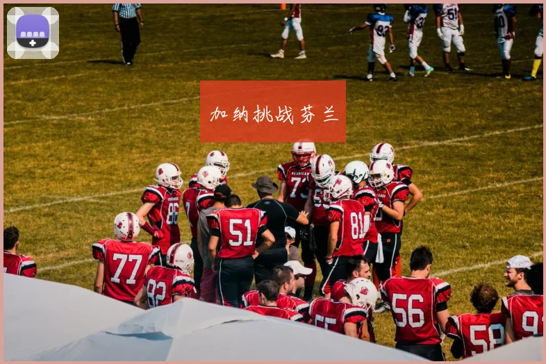 加纳挑战芬兰
