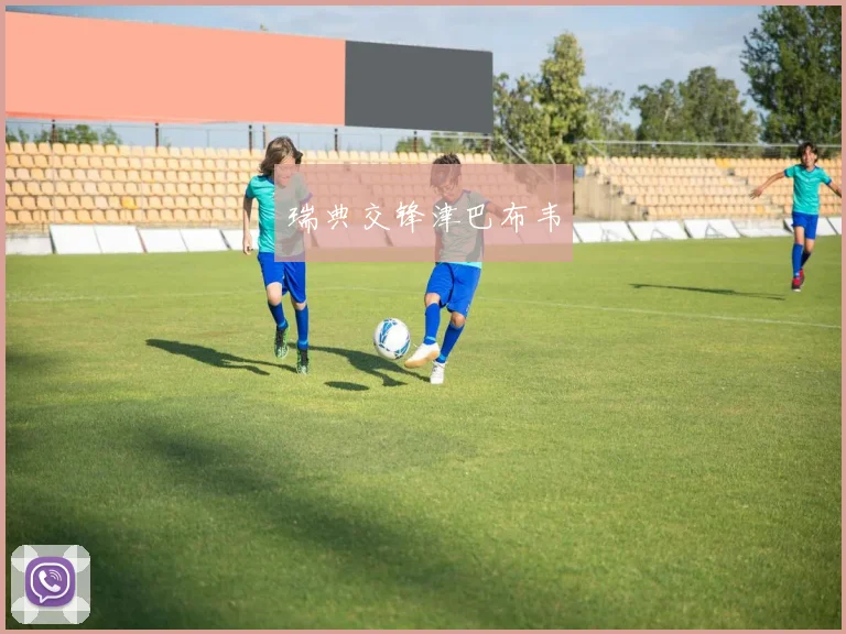 瑞典交锋津巴布韦
