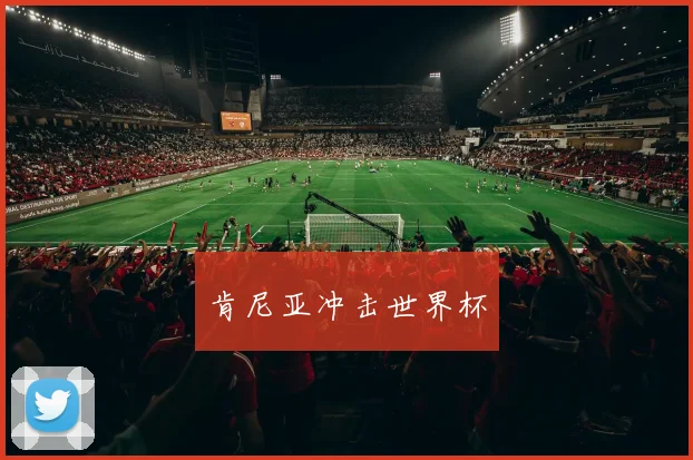 肯尼亚冲击世界杯