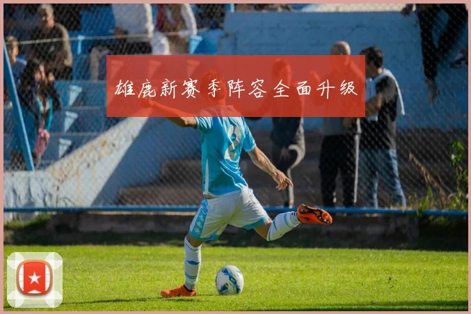 雄鹿新赛季阵容全面升级