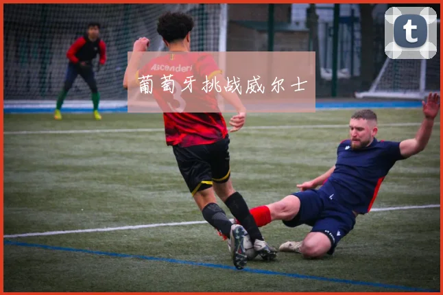 葡萄牙挑战威尔士