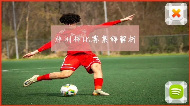 非洲杯比赛集锦解析