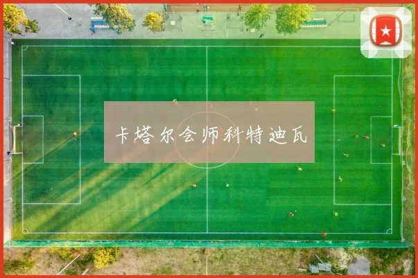 卡塔尔会师科特迪瓦