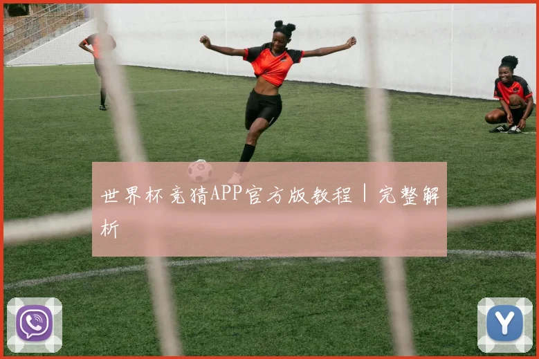 世界杯竞猜APP官方版教程｜完整解析