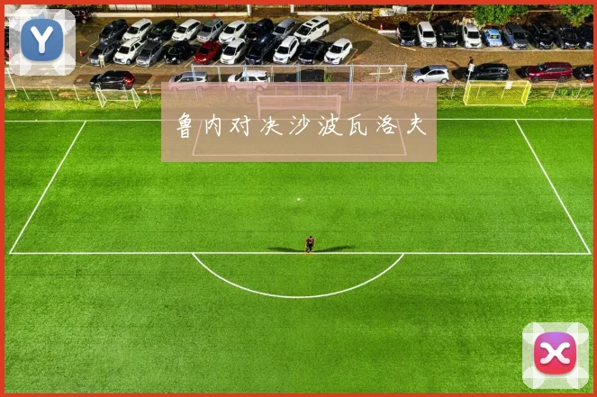 鲁内对决沙波瓦洛夫