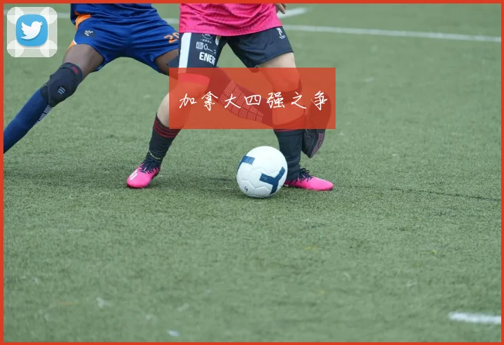 加拿大四强之争