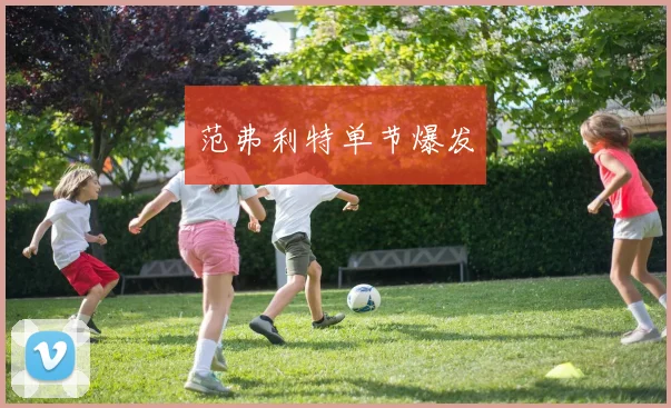 范弗利特单节爆发