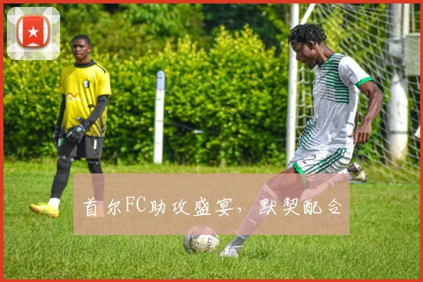 首尔FC助攻盛宴，默契配合