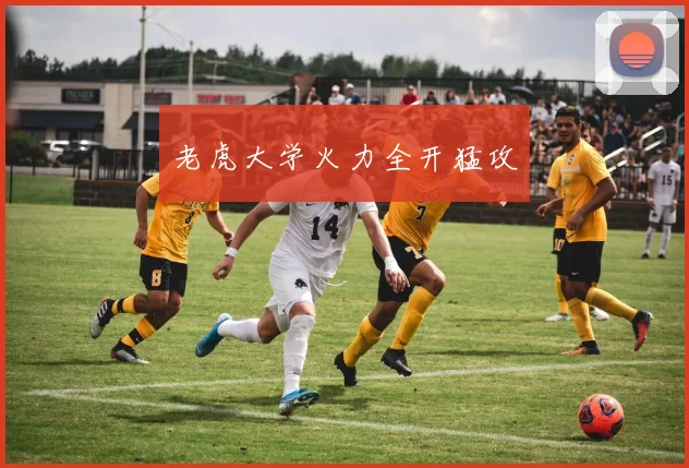 老虎大学火力全开猛攻
