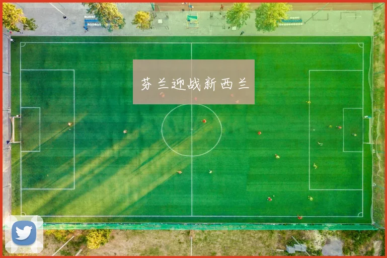 芬兰迎战新西兰
