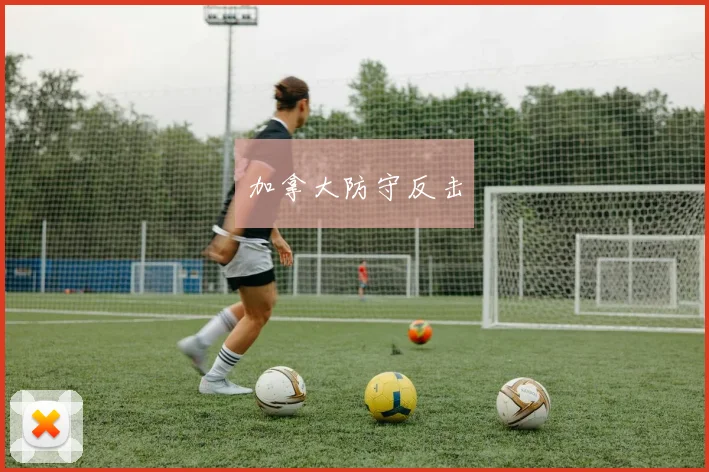 加拿大防守反击