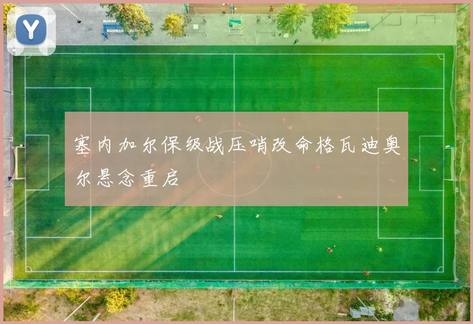 塞内加尔保级战压哨改命格瓦迪奥尔悬念重启