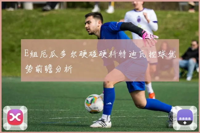 E组厄瓜多尔硬碰硬科特迪瓦控球优势前瞻分析