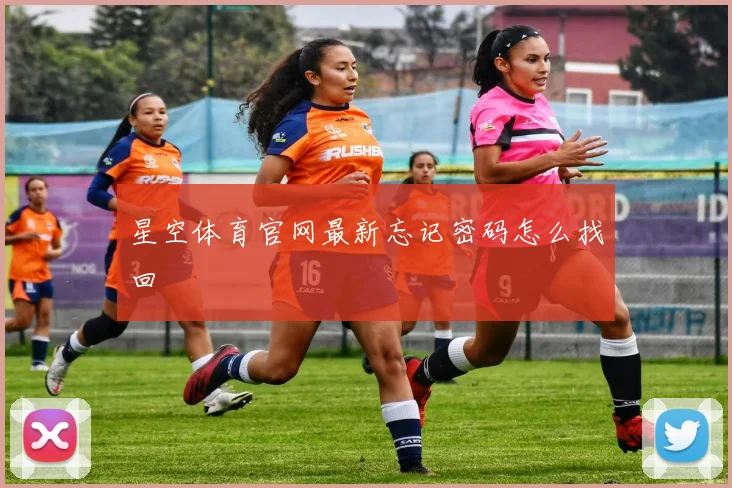 星空体育官网最新忘记密码怎么找回