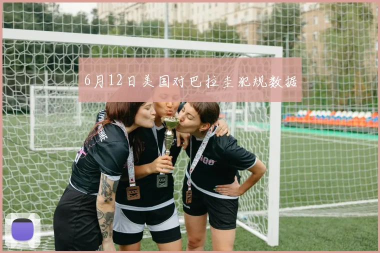 6月12日美国对巴拉圭犯规数据